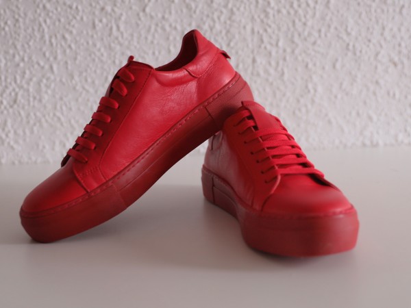 Baha Sneaker rot